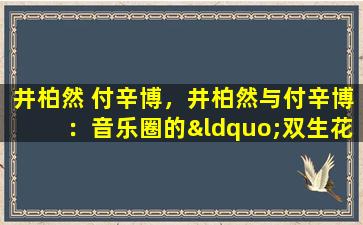 井柏然 付辛博，井柏然与付辛博：音乐圈的“双生花”